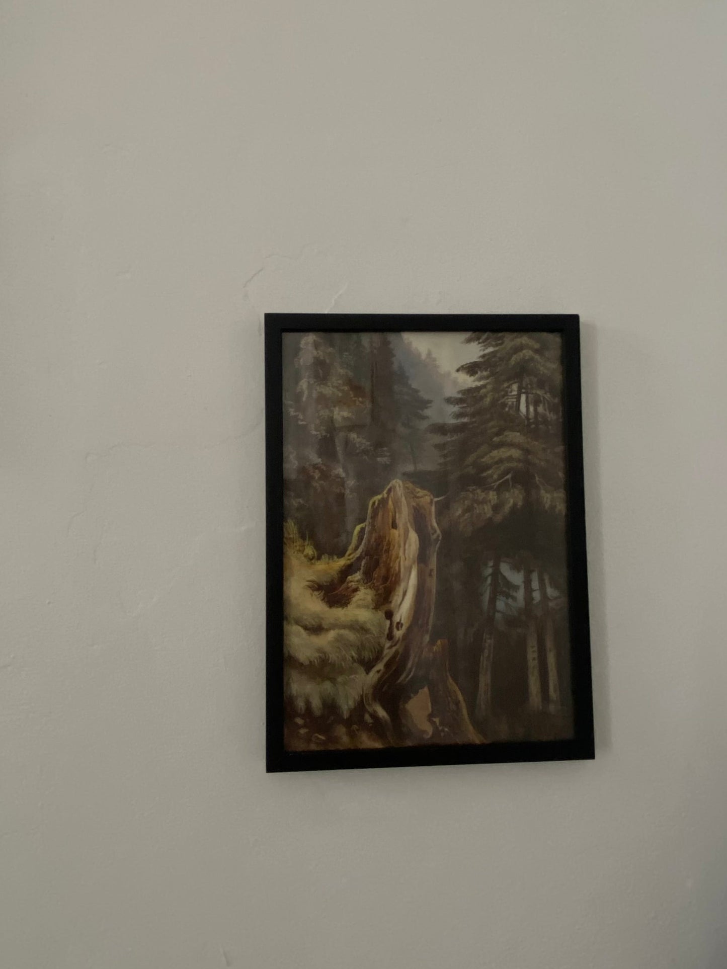 "Tree stump on slope covered with fir trees" Ludwig Philipp (1811-1886)