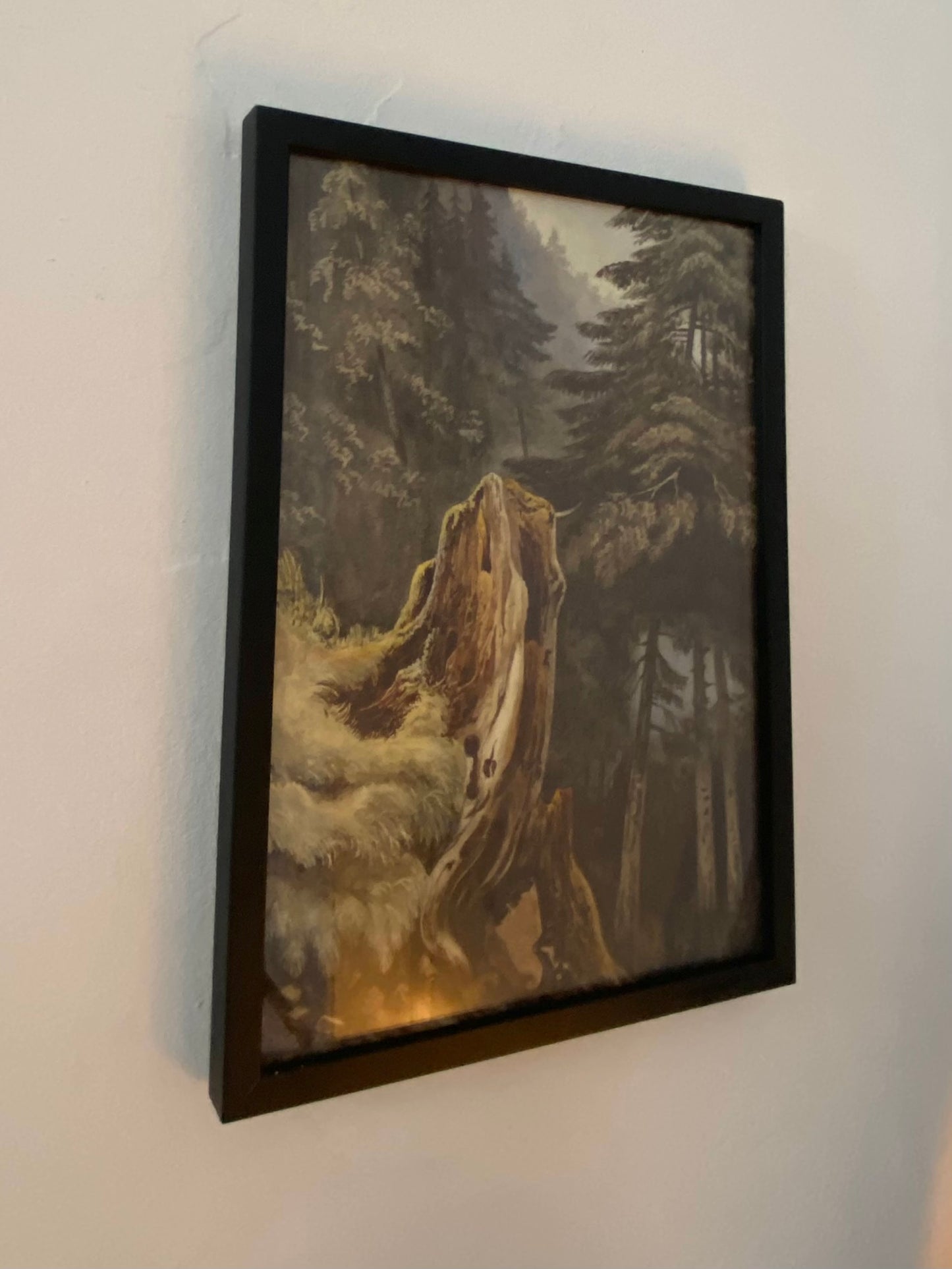 "Tree stump on slope covered with fir trees" Ludwig Philipp (1811-1886)