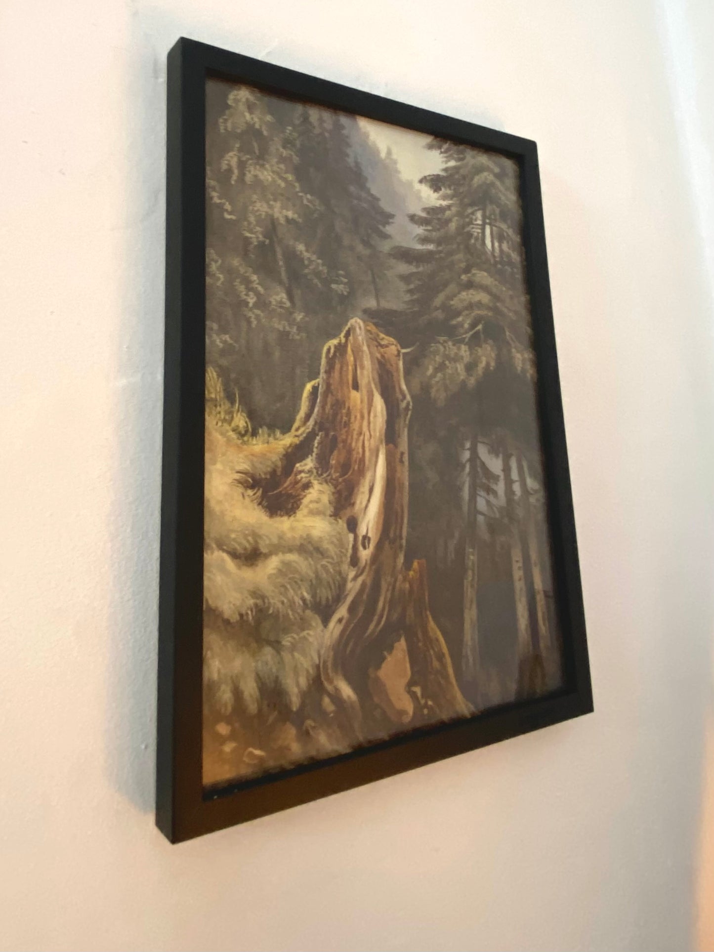 "Tree stump on slope covered with fir trees" Ludwig Philipp (1811-1886)