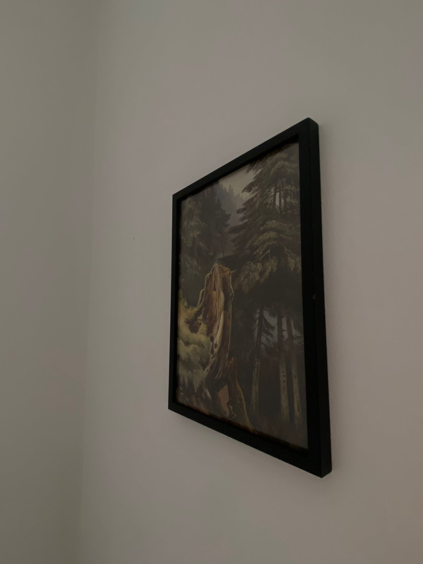 "Tree stump on slope covered with fir trees" Ludwig Philipp (1811-1886)